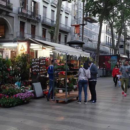 ホスタル モン タボール ゲストハウス バルセロナ