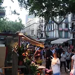莎博蒙特旅馆 招待所